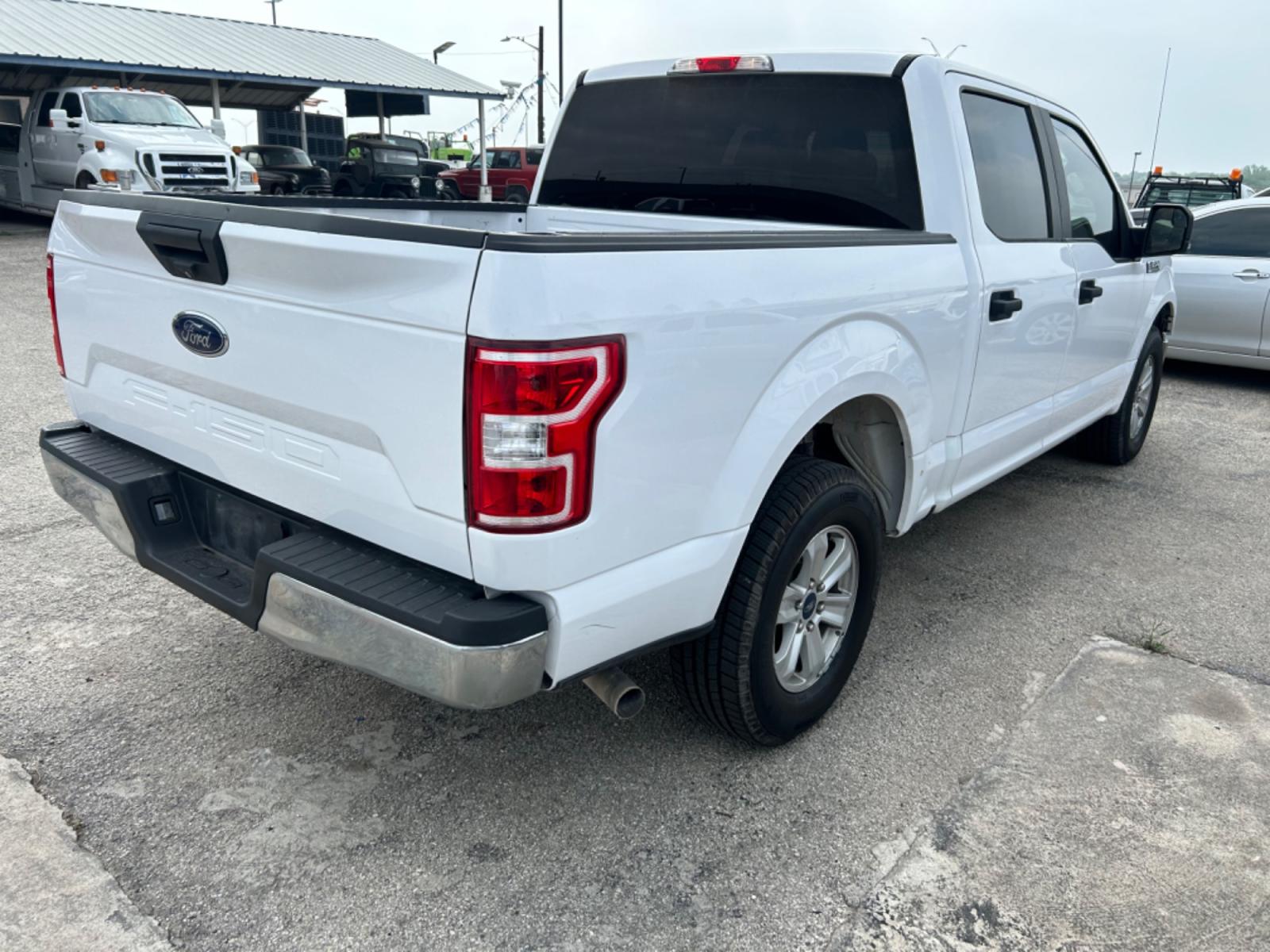2019 White Ford F-150 (1FTEW1C55KK) with an 5.0L V8 F DOHC 32V engine, Automatic transmission, located at 1687 Business 35 S, New Braunfels, TX, 78130, (830) 625-7159, 29.655487, -98.051491 - Photo #6